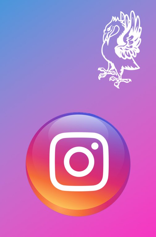  PIL 800x1200 Insta3  